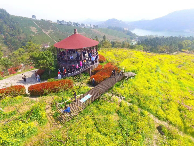 【春意盎然】长兴城山沟赏三花,仙山湖一日